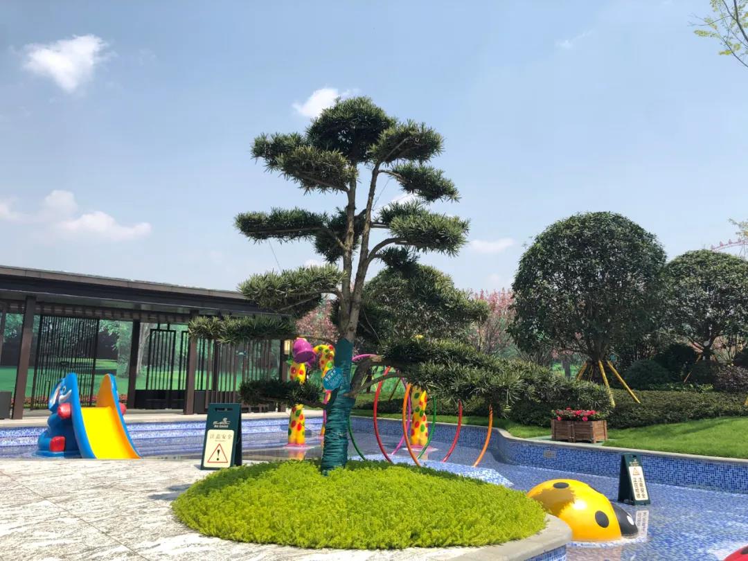 麒龙金海美域 